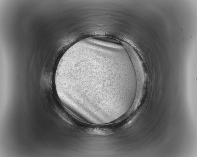 X0000085080681200703191325