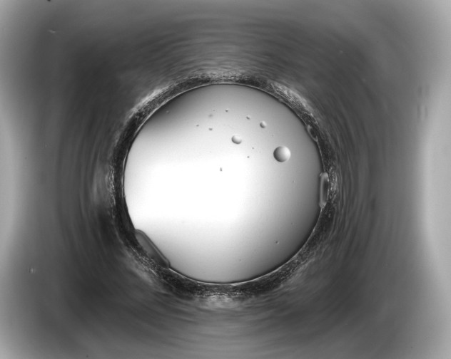 X0000085080684200703191325