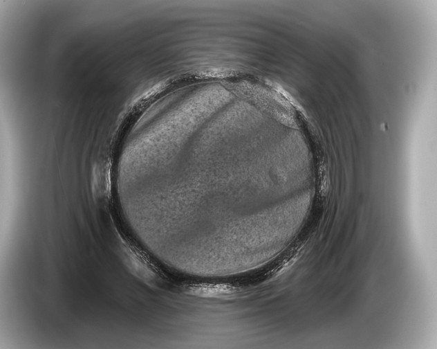 X0000085080685200703191325