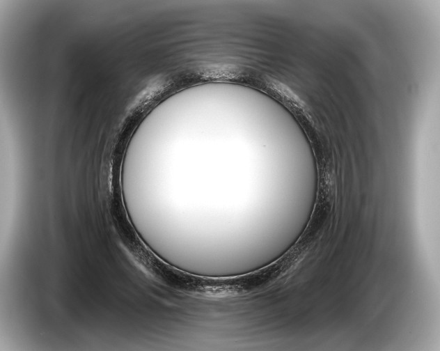 X0000085080686200703191325