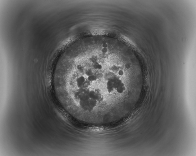 X0000085080687200703191325