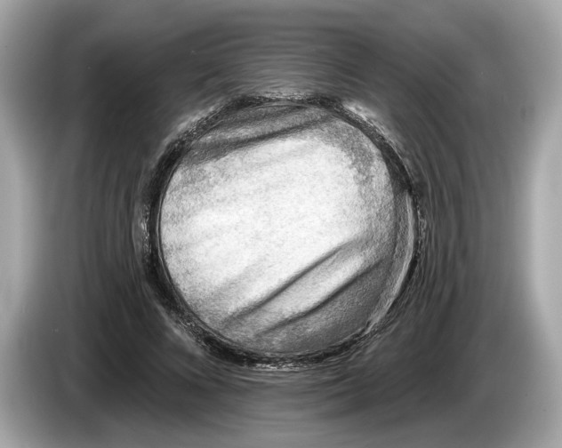 X0000085080688200703191325