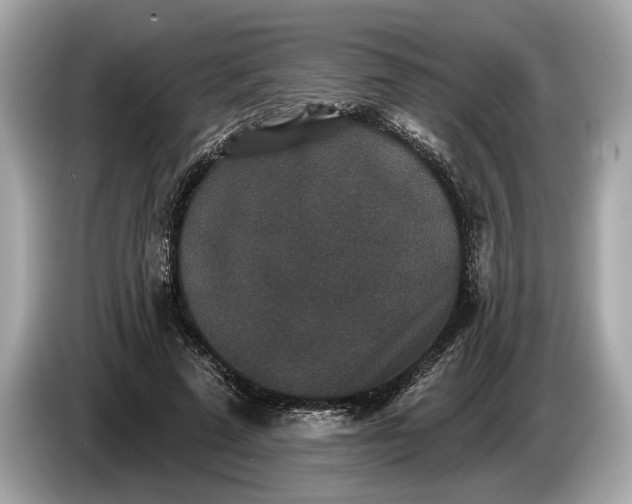 X0000085080689200703191325