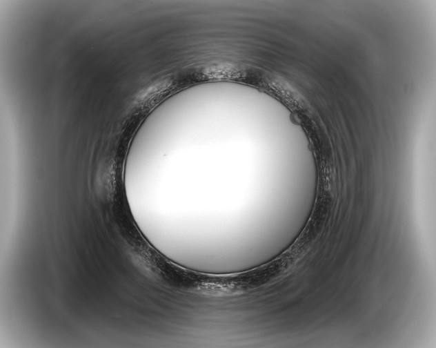 X0000085080690200703191325