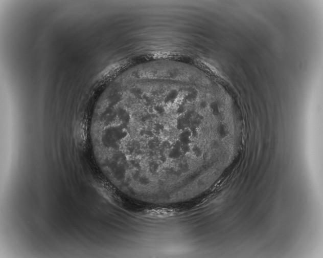 X0000085080691200703191325