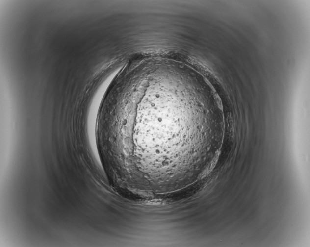 X0000085080692200703191325