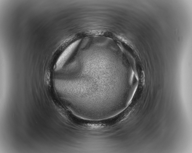 X0000085080693200703191325