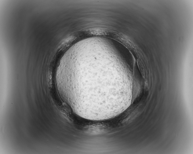 X0000085080696200703191325