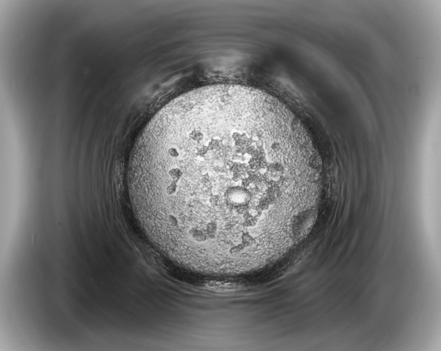 X0000085080699200703191324