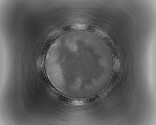 X0000085080701200703191324