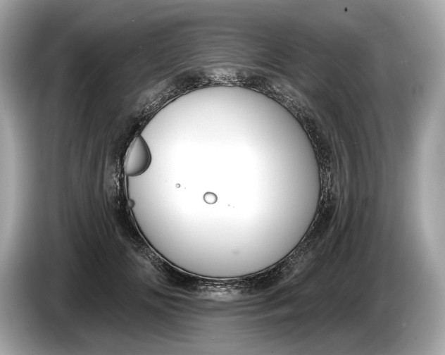 X0000085080702200703191324