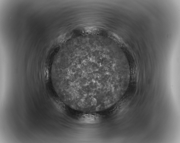 X0000085080703200703191324