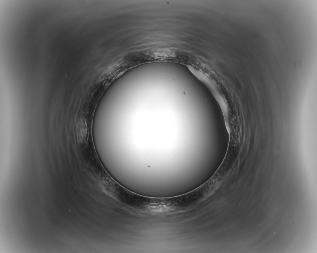 X0000085080704200703191324