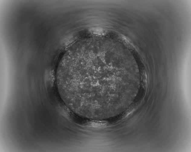 X0000085080707200703191324