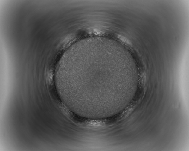 X0000085080709200703191324