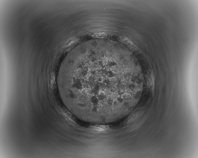 X0000085080711200703191324