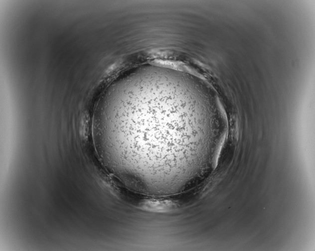 X0000085080712200703191324