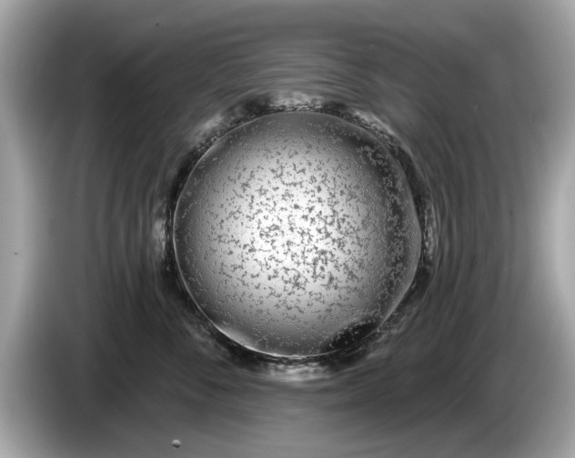 X0000085080716200703191324