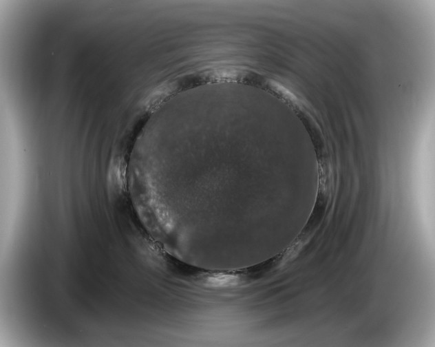 X0000085080718200703191324