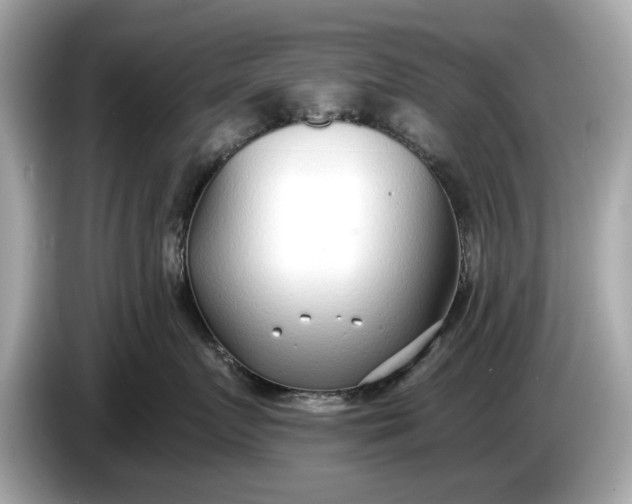 X0000085080719200703191324