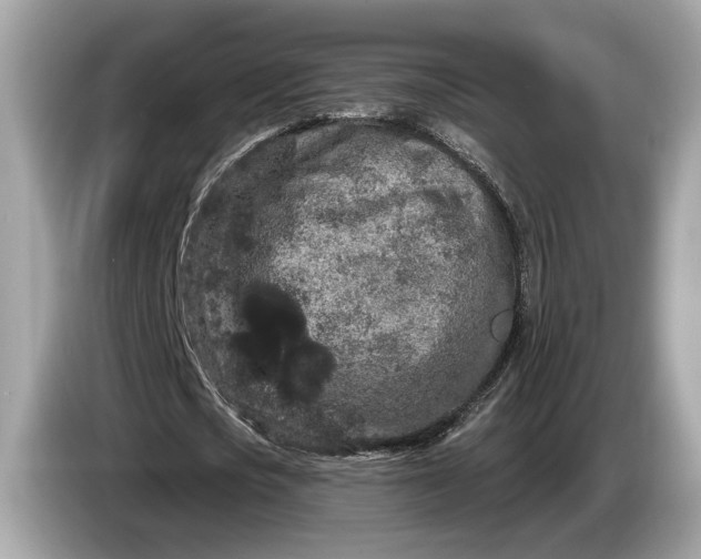 X0000085080721200703191324