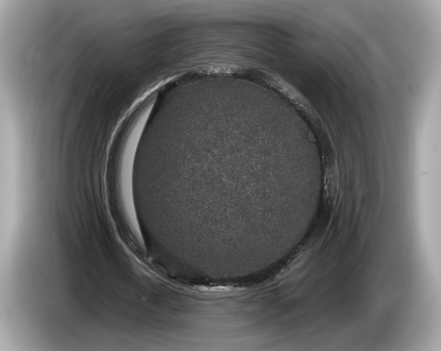 X0000085080722200703191324