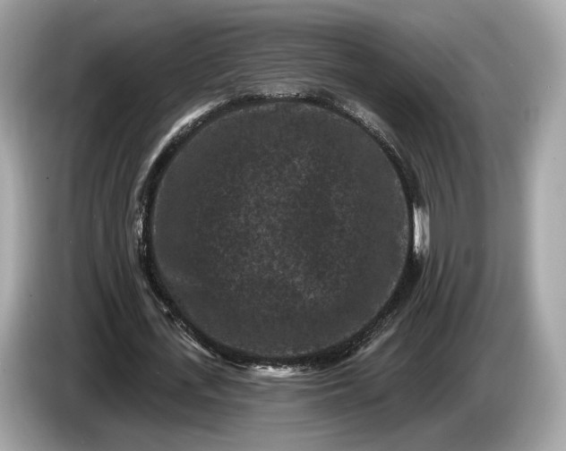 X0000085080723200703191324