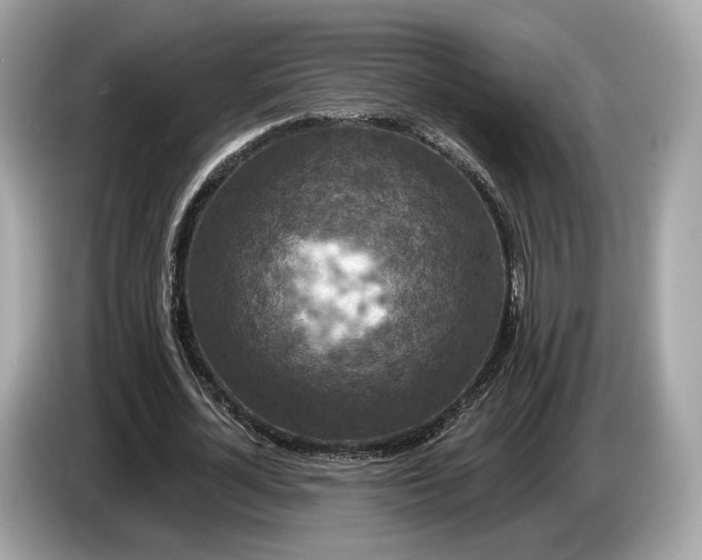 X0000085080724200703191324