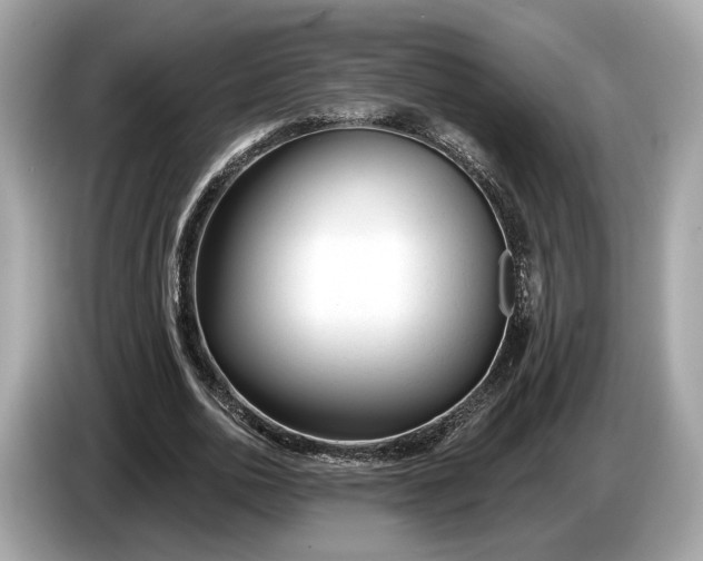 X0000085080726200703191324