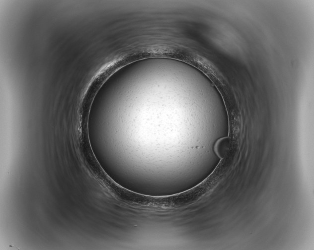 X0000085080727200703191324