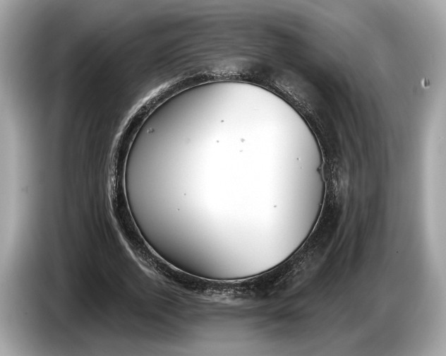 X0000085080728200703191324