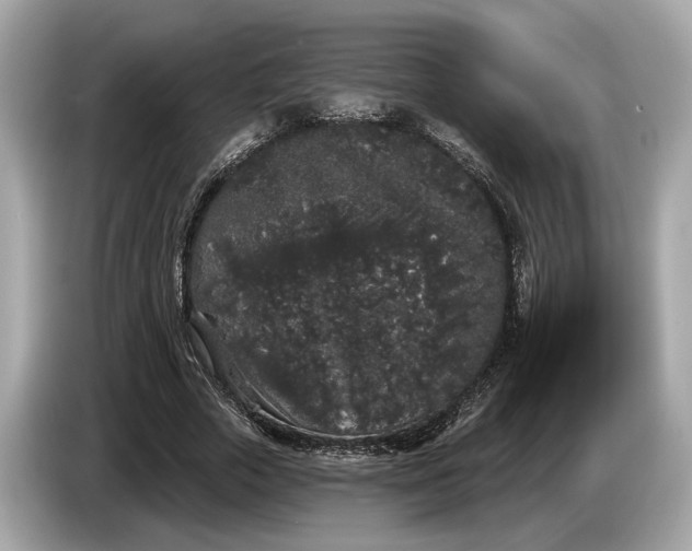 X0000085080729200703191324