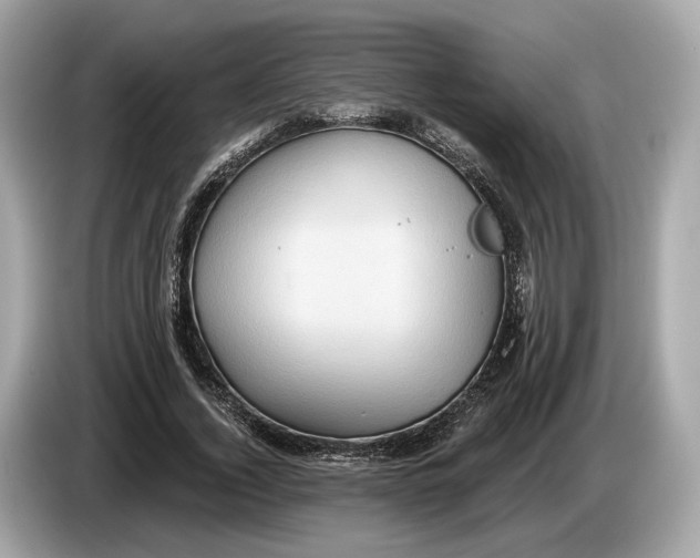 X0000085080732200703191324