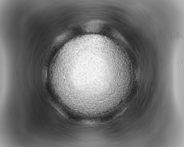 X0000085080733200703191324