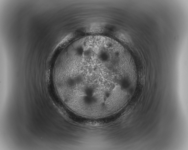 X0000085080735200703191324