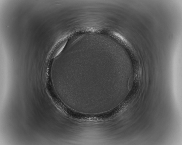 X0000085080736200703191324