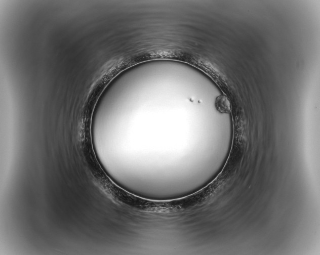 X0000085080738200703191324