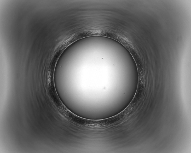 X0000085080740200703191324