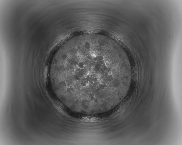 X0000085080742200703191324