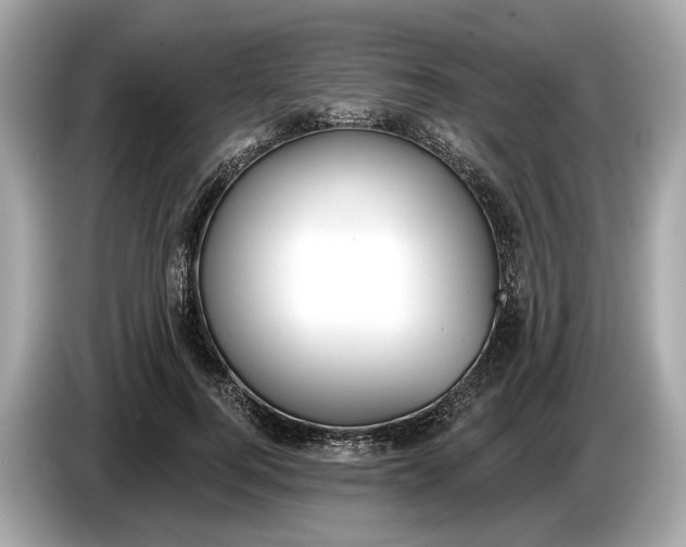 X0000085080744200703191324