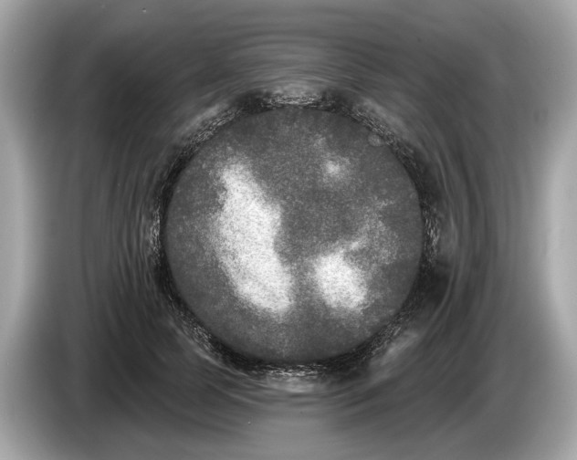 X0000085080745200703191324