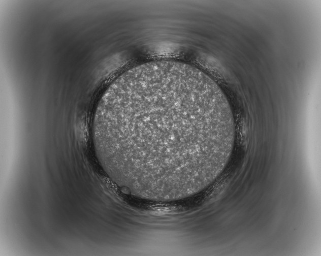 X0000085080746200703191324