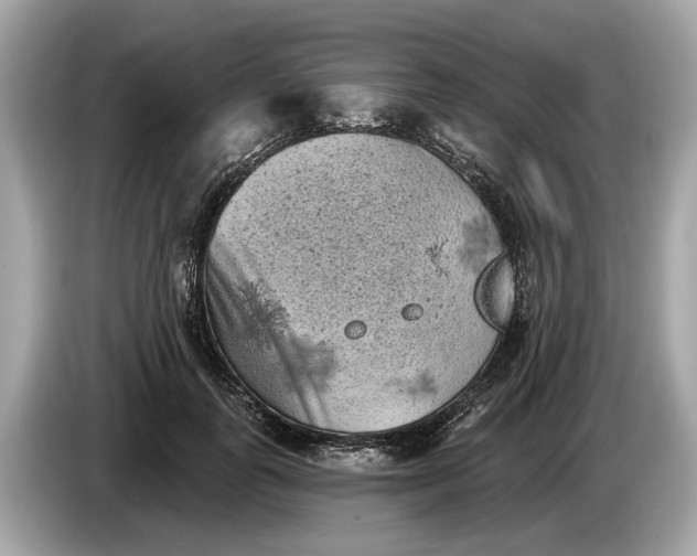 X0000085080747200703191324