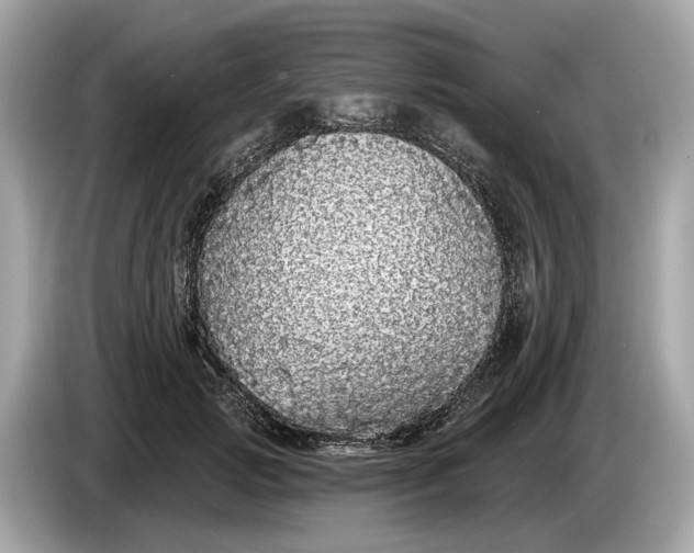 X0000085080749200703191324