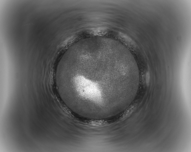 X0000085080757200703191324