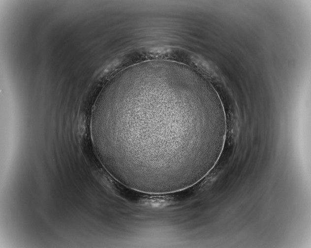 X0000085080758200703191324