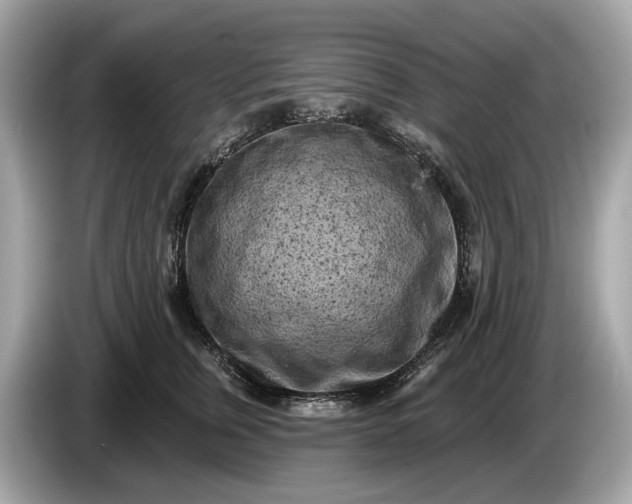 X0000085080759200703191324