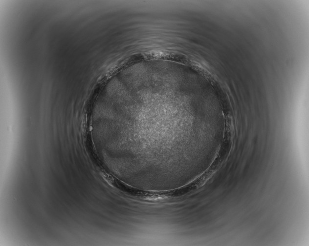 X0000085080760200703191324