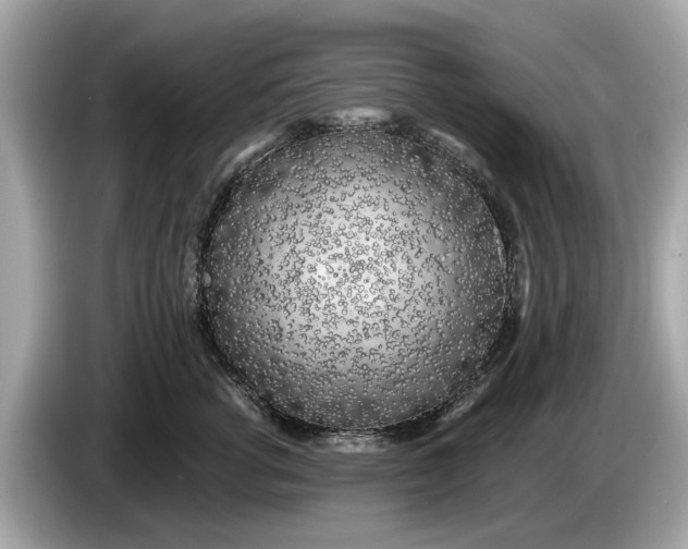 X0000085080762200703191324