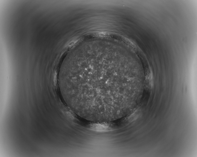 X0000085080765200703191324